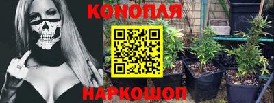 дживик Пенза