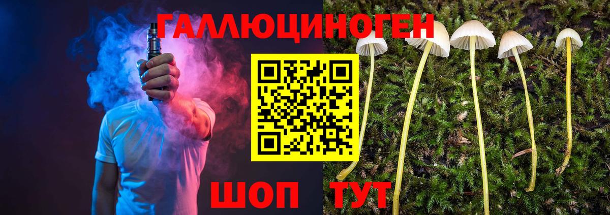Галлюциногенные грибы Psilocybine cubensis Севастополь