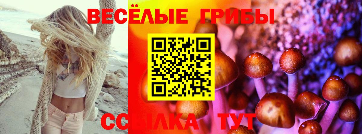 Севастополь  Псилоцибиновые грибы ЛСД  Вход с VPN 